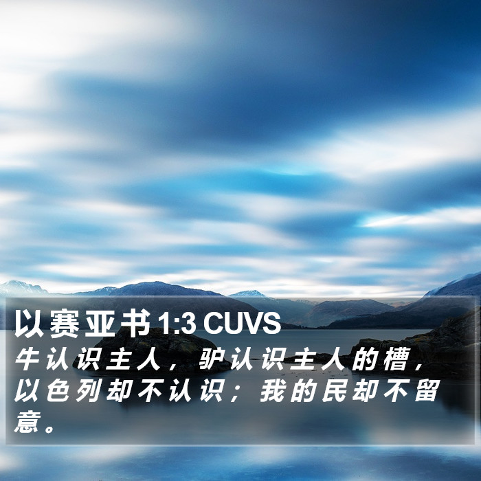 以 赛 亚 书 1:3 CUVS Bible Study