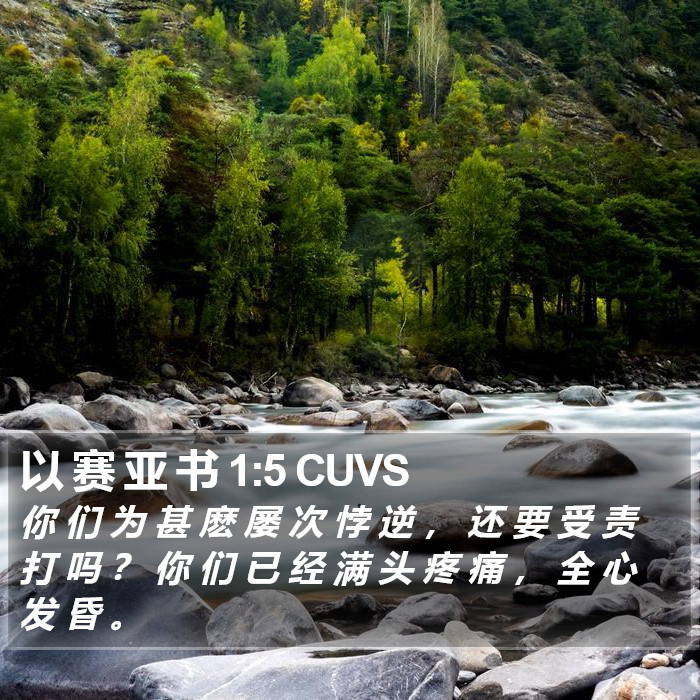 以 赛 亚 书 1:5 CUVS Bible Study