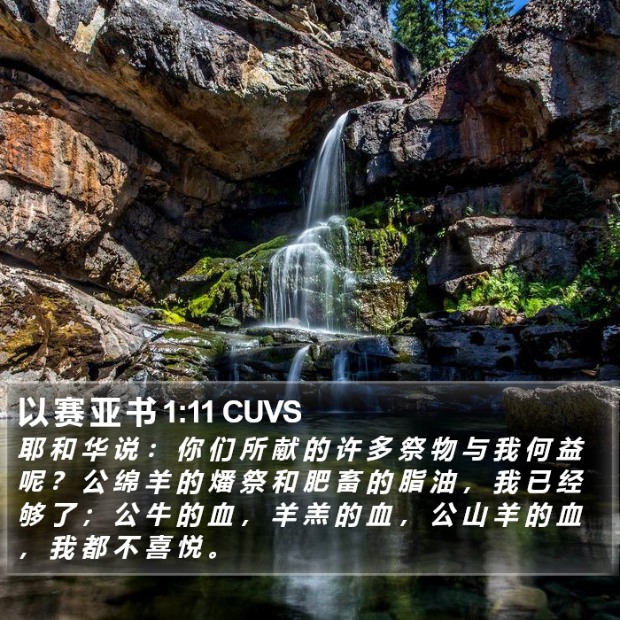 以 赛 亚 书 1:11 CUVS Bible Study