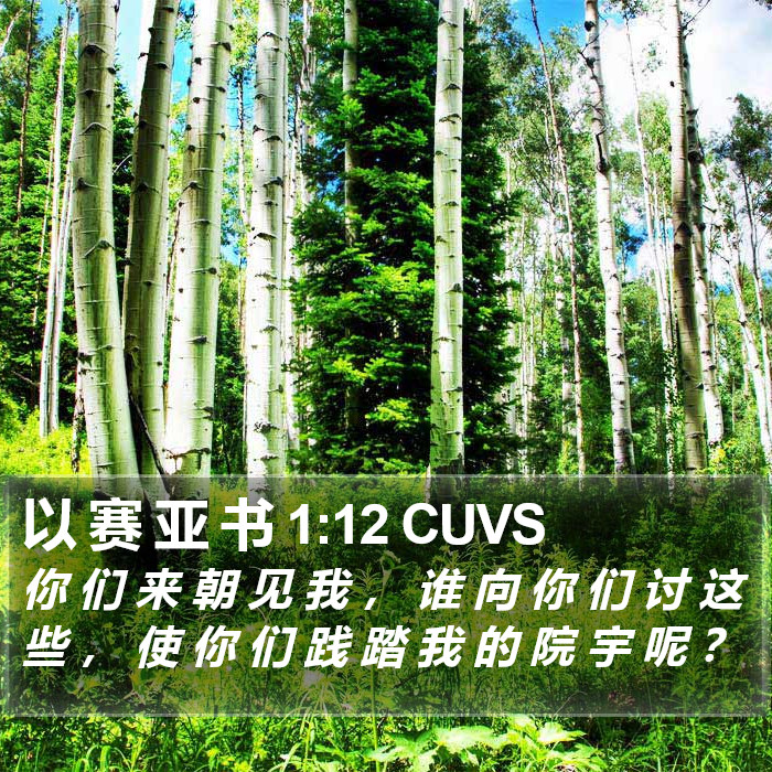 以 赛 亚 书 1:12 CUVS Bible Study