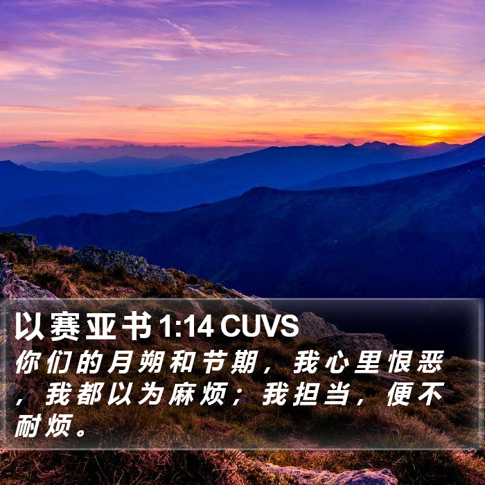 以 赛 亚 书 1:14 CUVS Bible Study