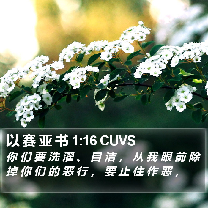 以 赛 亚 书 1:16 CUVS Bible Study