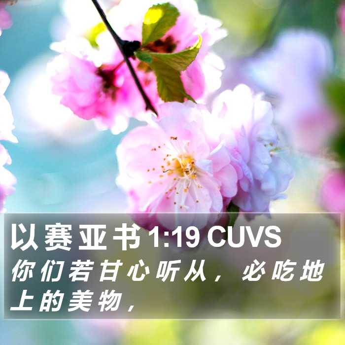 以 赛 亚 书 1:19 CUVS Bible Study