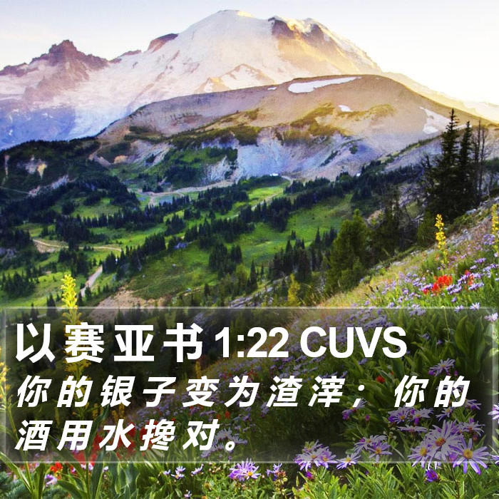 以 赛 亚 书 1:22 CUVS Bible Study