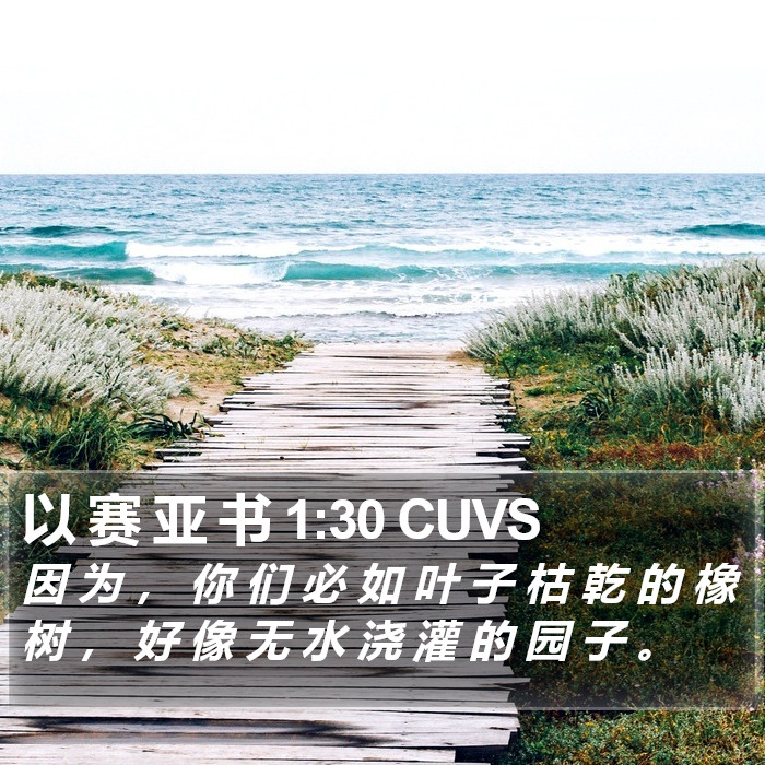 以 赛 亚 书 1:30 CUVS Bible Study