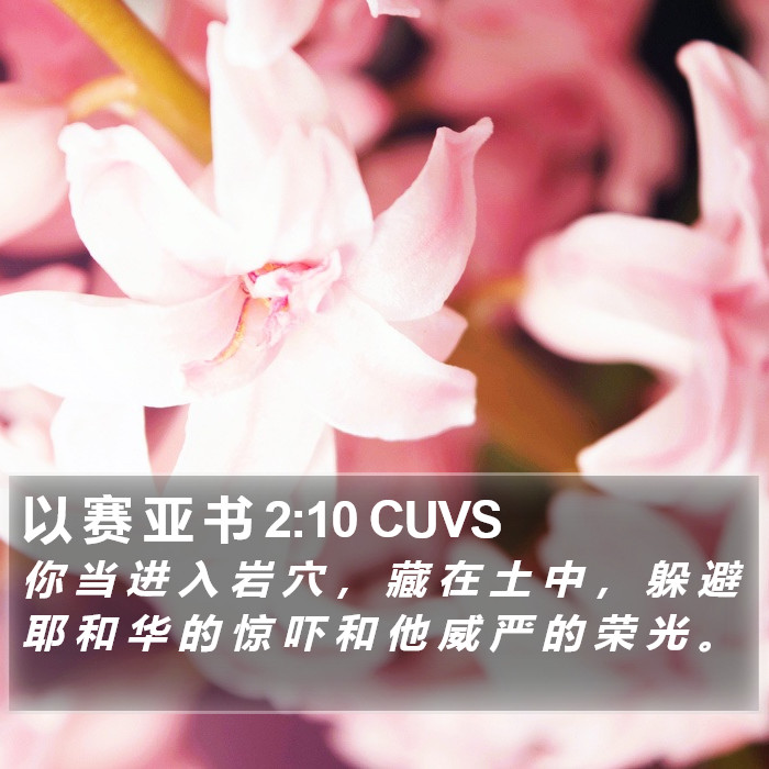 以 赛 亚 书 2:10 CUVS Bible Study