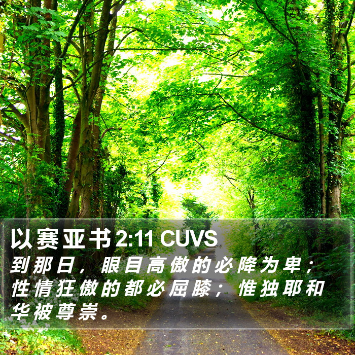 以 赛 亚 书 2:11 CUVS Bible Study