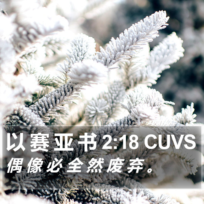 以 赛 亚 书 2:18 CUVS Bible Study