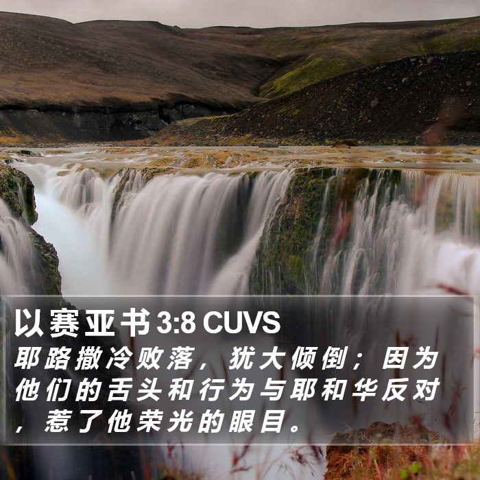 以 赛 亚 书 3:8 CUVS Bible Study