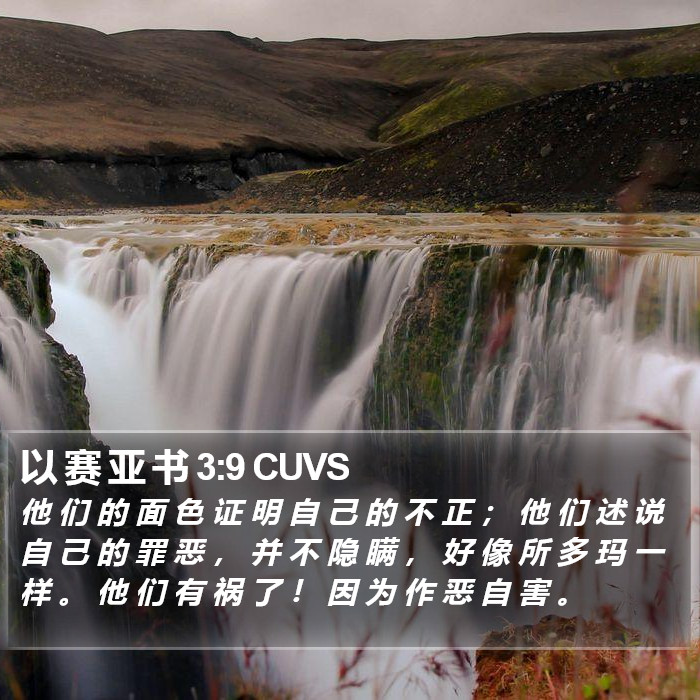 以 赛 亚 书 3:9 CUVS Bible Study