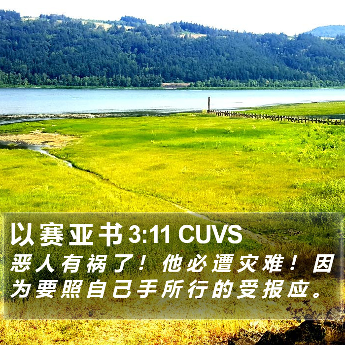 以 赛 亚 书 3:11 CUVS Bible Study