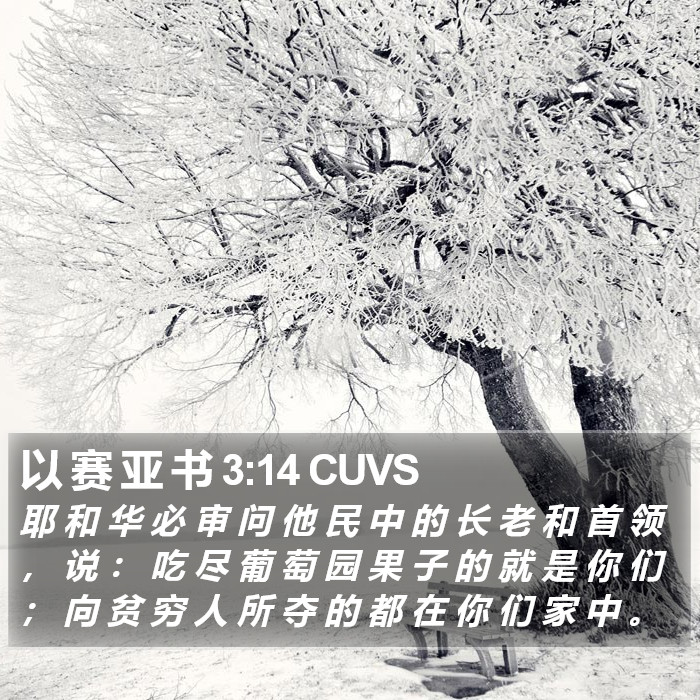 以 赛 亚 书 3:14 CUVS Bible Study