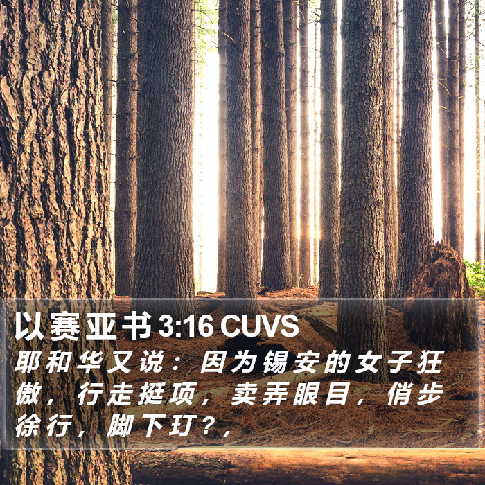 以 赛 亚 书 3:16 CUVS Bible Study