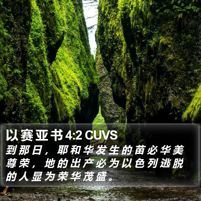 以 赛 亚 书 4:2 CUVS Bible Study