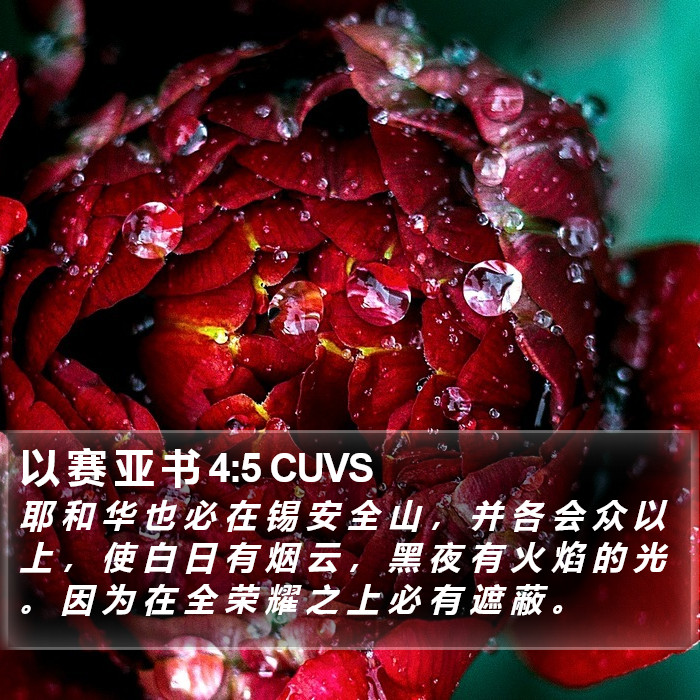 以 赛 亚 书 4:5 CUVS Bible Study