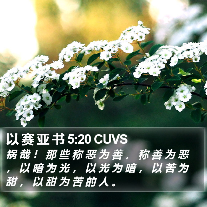 以 赛 亚 书 5:20 CUVS Bible Study
