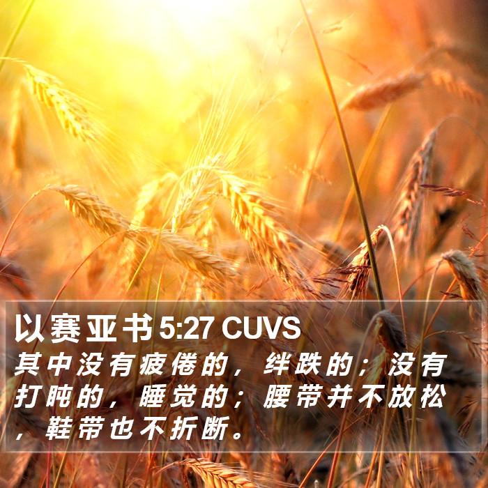 以 赛 亚 书 5:27 CUVS Bible Study