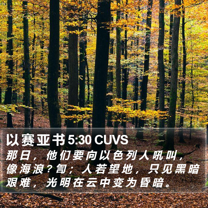 以 赛 亚 书 5:30 CUVS Bible Study