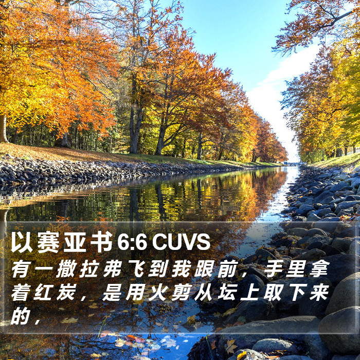 以 赛 亚 书 6:6 CUVS Bible Study