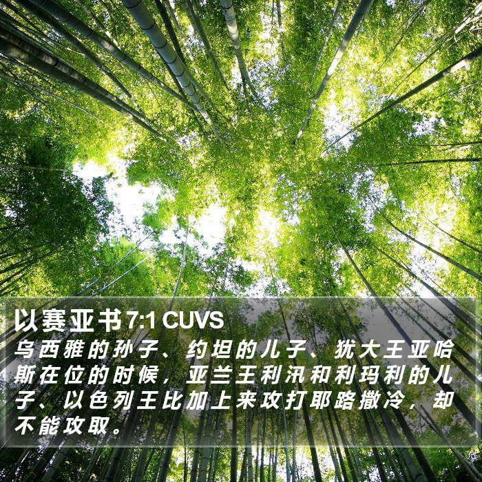 以 赛 亚 书 7:1 CUVS Bible Study