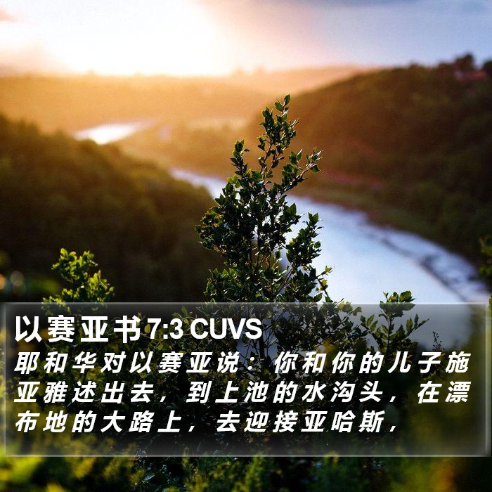 以 赛 亚 书 7:3 CUVS Bible Study