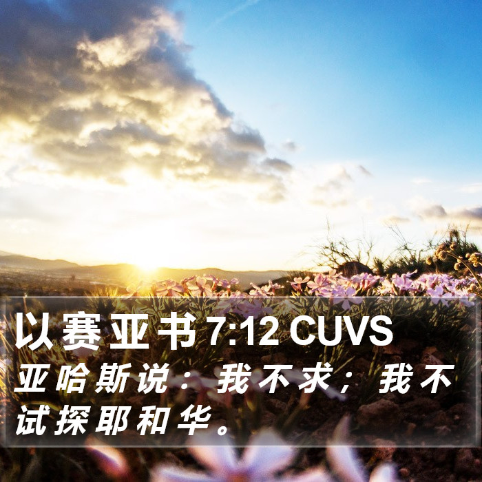 以 赛 亚 书 7:12 CUVS Bible Study