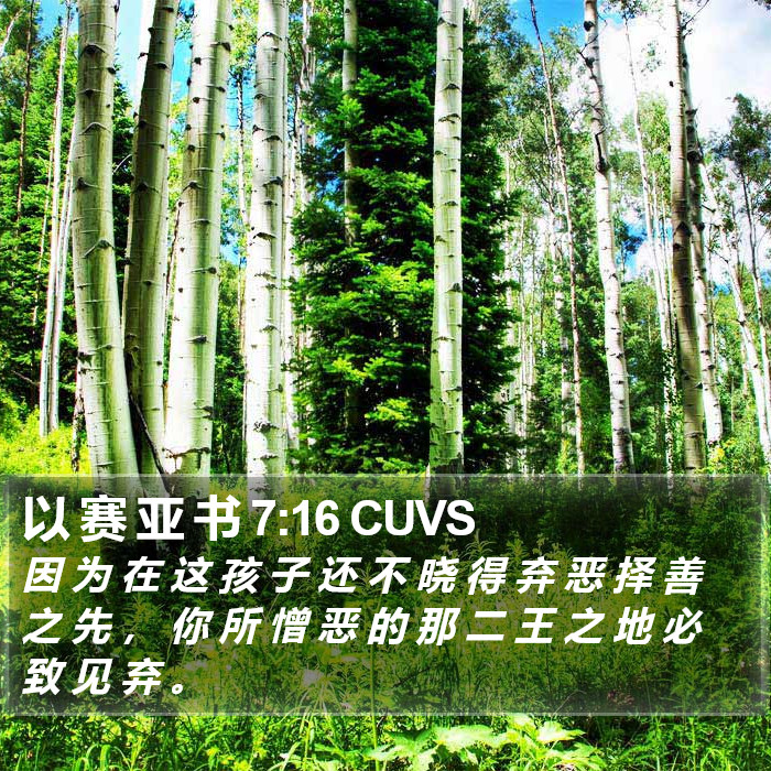 以 赛 亚 书 7:16 CUVS Bible Study