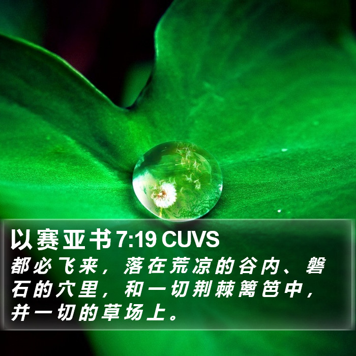 以 赛 亚 书 7:19 CUVS Bible Study