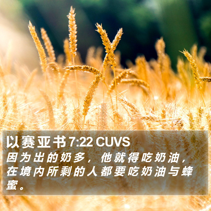 以 赛 亚 书 7:22 CUVS Bible Study