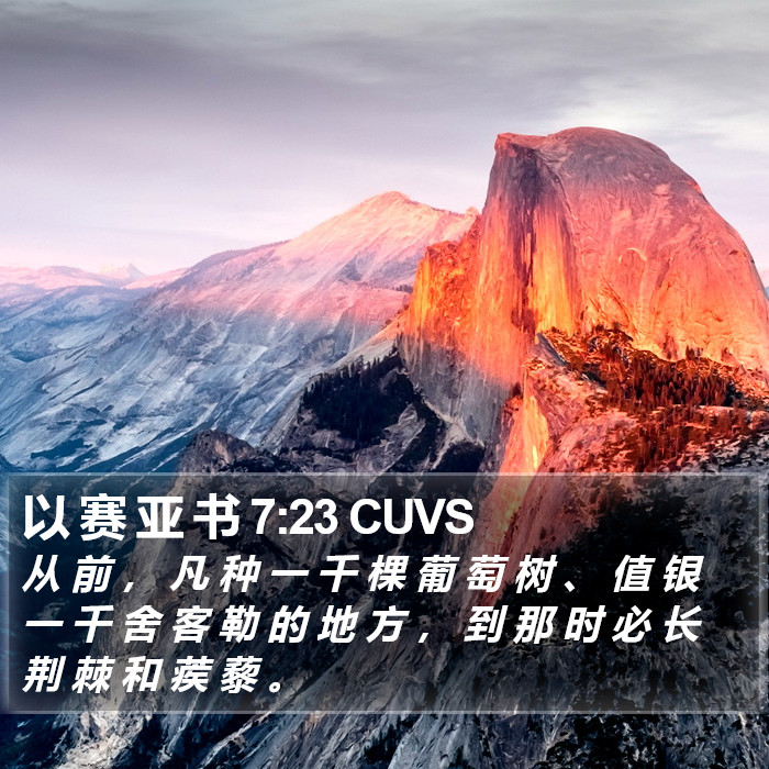 以 赛 亚 书 7:23 CUVS Bible Study