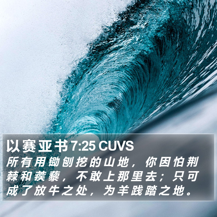 以 赛 亚 书 7:25 CUVS Bible Study