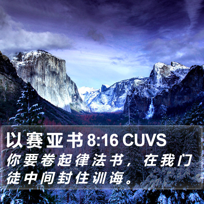 以 赛 亚 书 8:16 CUVS Bible Study