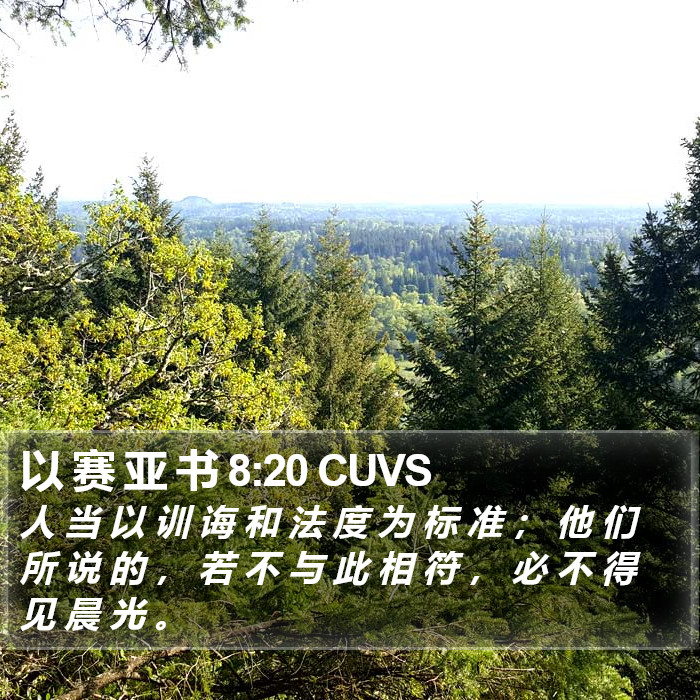 以 赛 亚 书 8:20 CUVS Bible Study