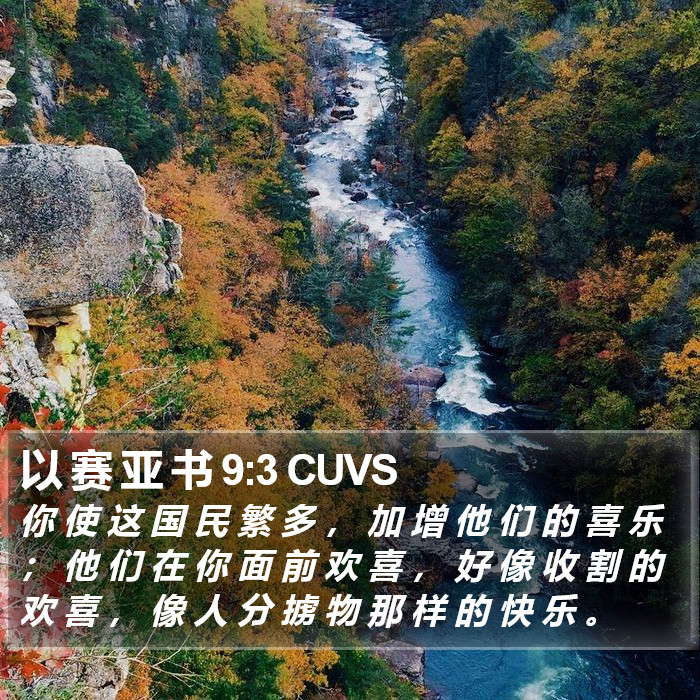 以 赛 亚 书 9:3 CUVS Bible Study