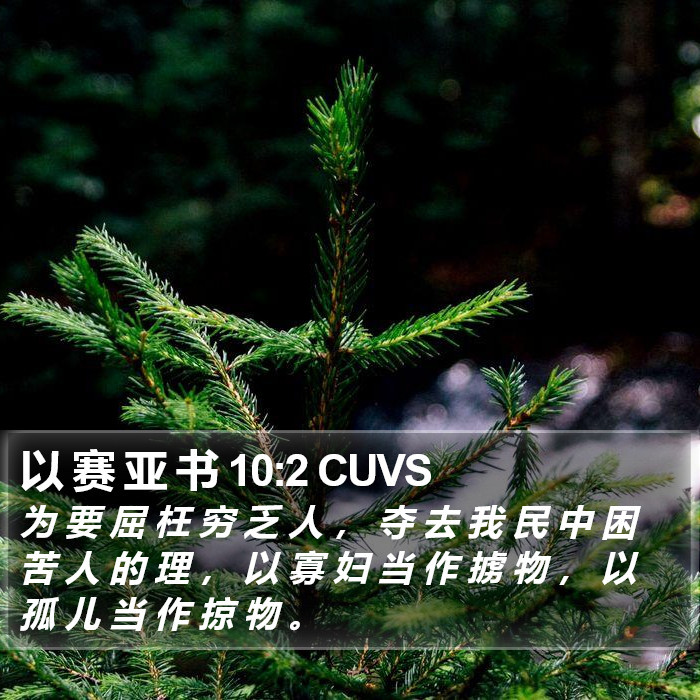 以 赛 亚 书 10:2 CUVS Bible Study