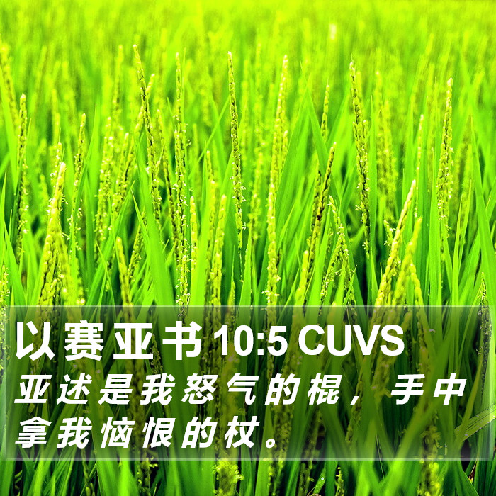 以 赛 亚 书 10:5 CUVS Bible Study