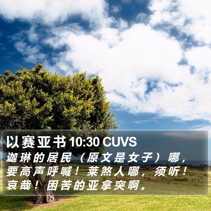 以 赛 亚 书 10:30 CUVS Bible Study