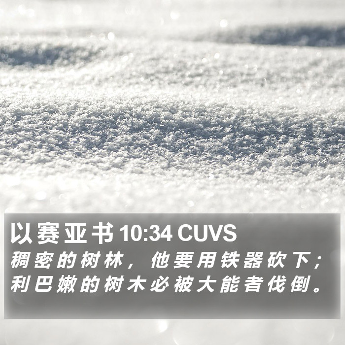 以 赛 亚 书 10:34 CUVS Bible Study