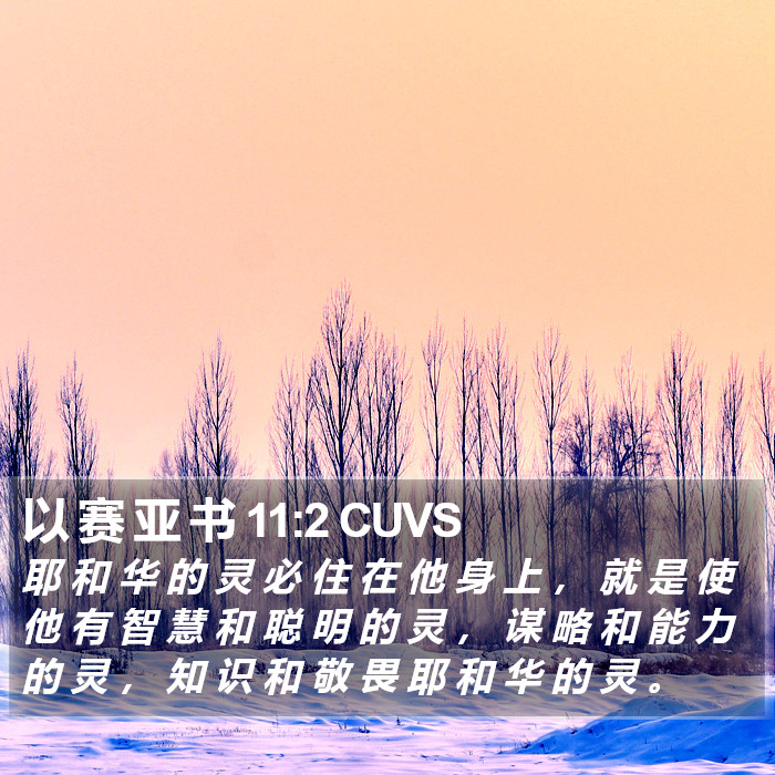 以 赛 亚 书 11:2 CUVS Bible Study