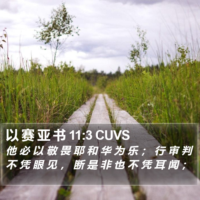 以 赛 亚 书 11:3 CUVS Bible Study