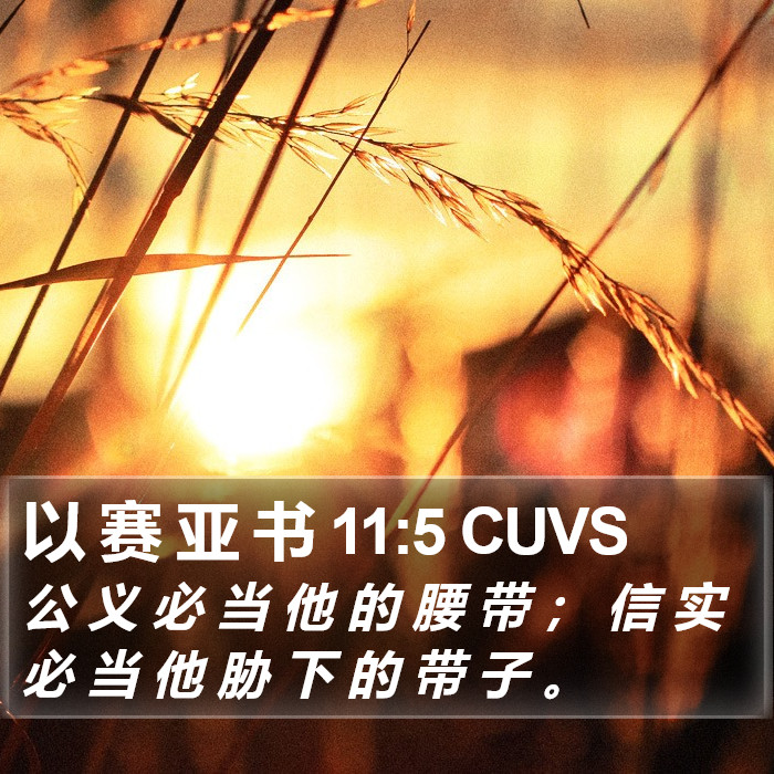 以 赛 亚 书 11:5 CUVS Bible Study