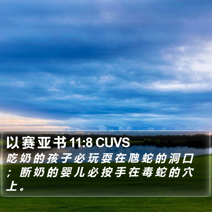 以 赛 亚 书 11:8 CUVS Bible Study