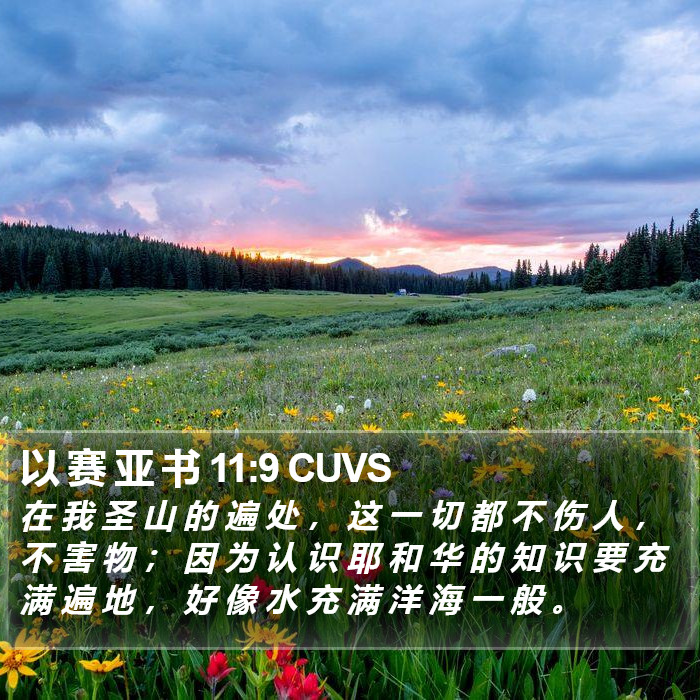 以 赛 亚 书 11:9 CUVS Bible Study