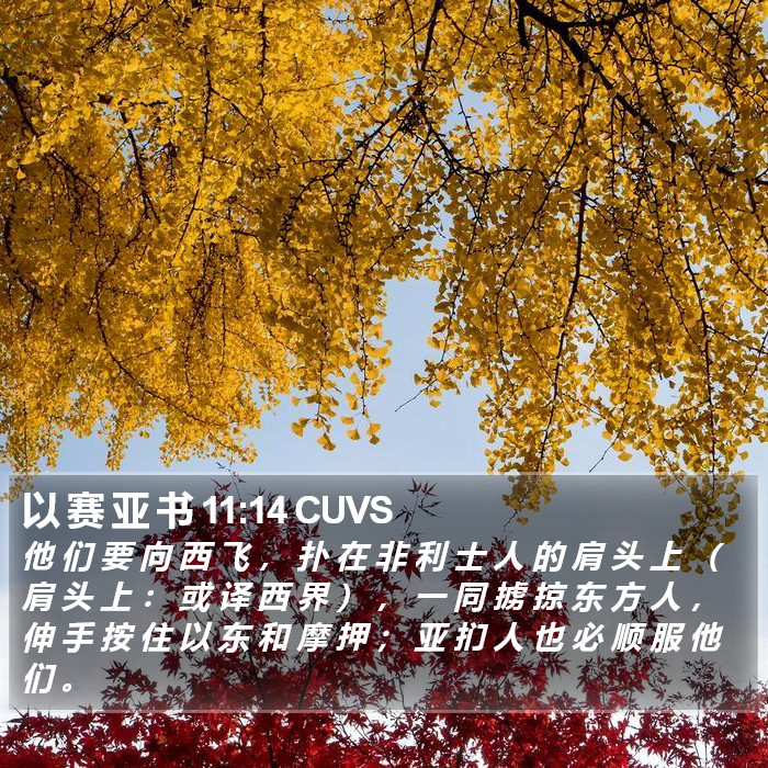 以 赛 亚 书 11:14 CUVS Bible Study