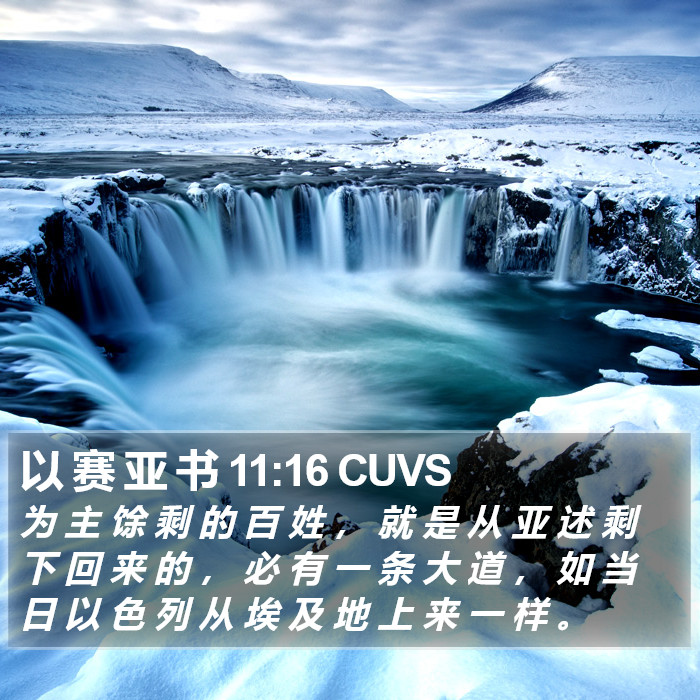 以 赛 亚 书 11:16 CUVS Bible Study