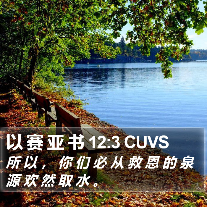 以 赛 亚 书 12:3 CUVS Bible Study