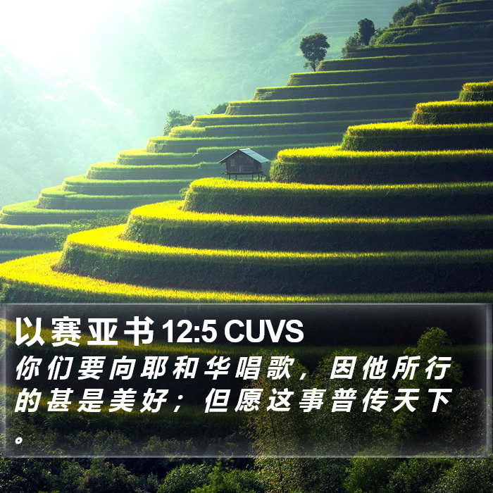 以 赛 亚 书 12:5 CUVS Bible Study