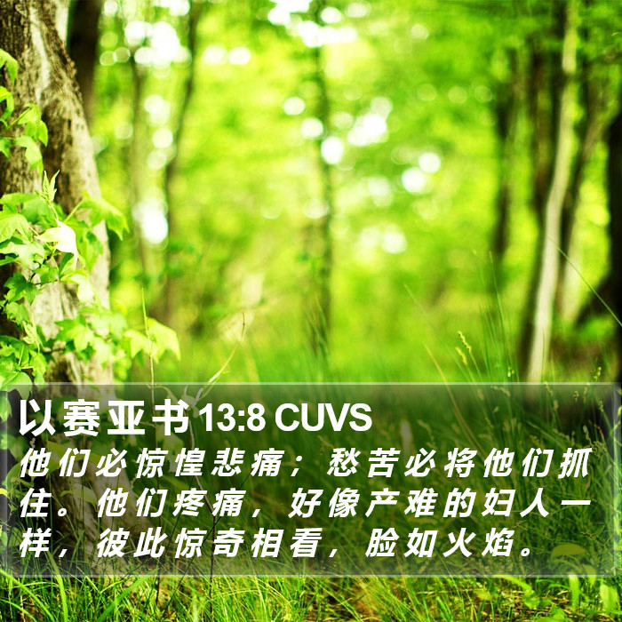 以 赛 亚 书 13:8 CUVS Bible Study