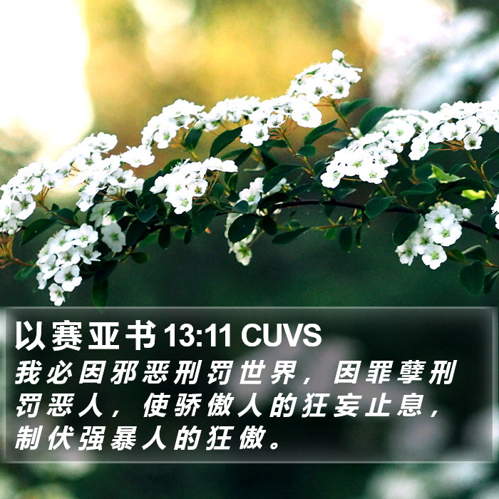 以 赛 亚 书 13:11 CUVS Bible Study