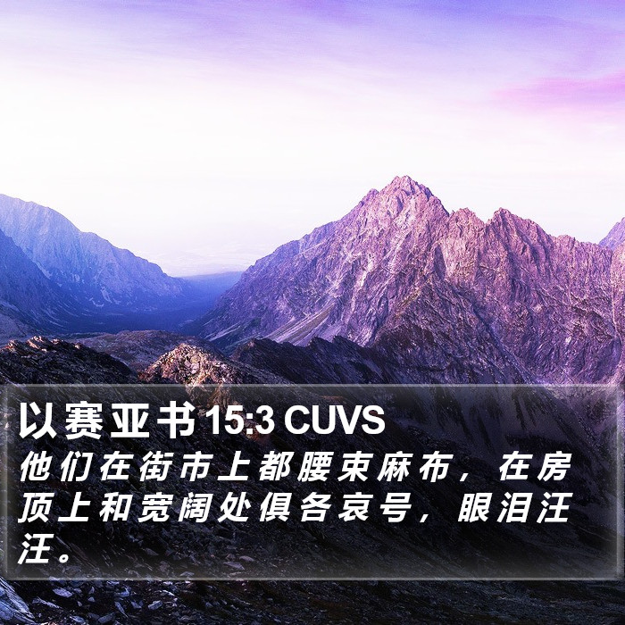 以 赛 亚 书 15:3 CUVS Bible Study